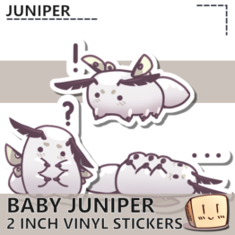 Baby Juniper 3 Pack - Juniper (Pre-order)