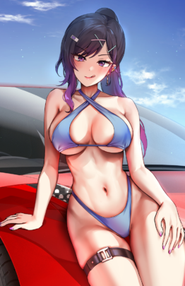 Erina Car Bikini - Reine