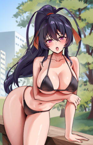 Akeno Himejima Bikini - Reine